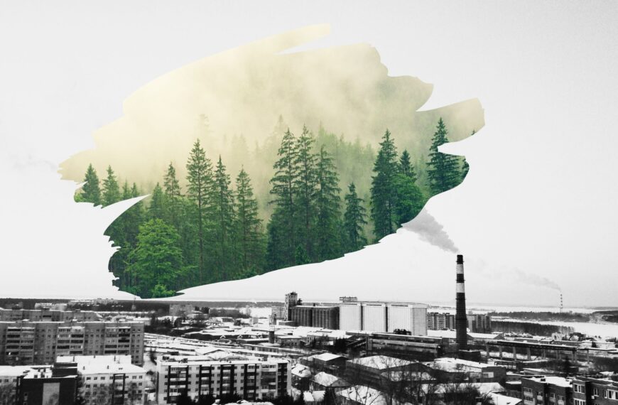 CCUS碳捕捉技術與企業漂綠風險(下)